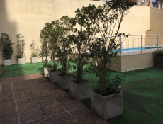 gallery